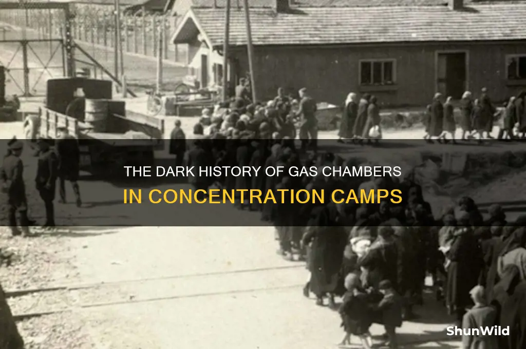 when were gas chambers first used in concentration camps