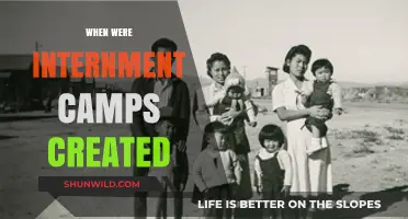 Tracing the Origins: A History of Internment Camps Creation