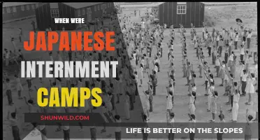 Japanese Internment Camps: A Dark Chapter in American History