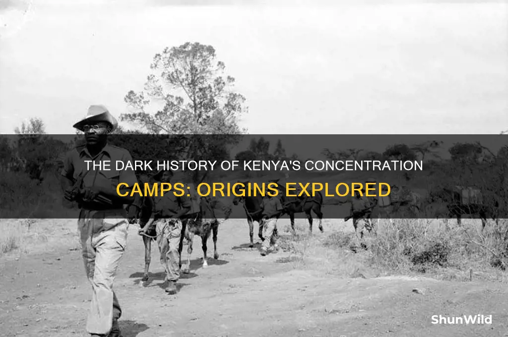 when were kenya concentration camps started