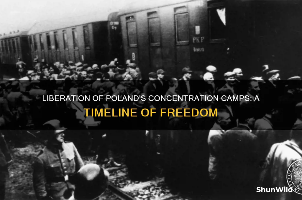 when were people liberated from the concentration camps in poland