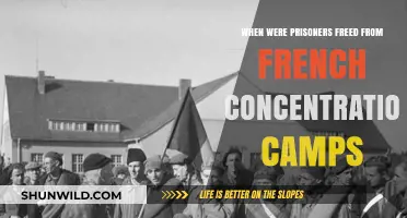 Liberation of Prisoners from French Concentration Camps: A Historical Overview