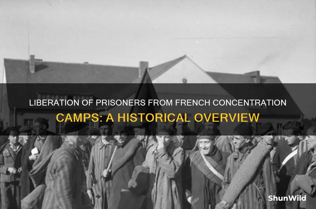 when were prisoners freed from french concentration camps