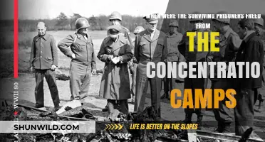 Liberation of Concentration Camp Survivors: A Timeline of Freedom