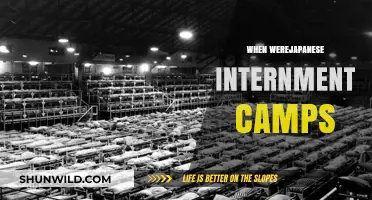 Unveiling the History: Japanese Internment Camps in America