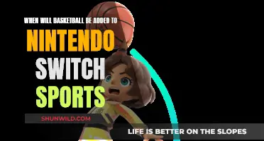 Will Basketball Dunk Its Way to Nintendo Switch Sports?