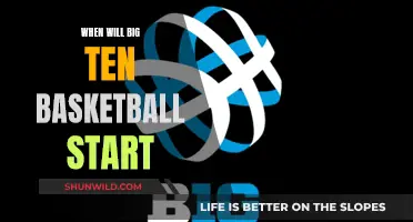 Big Ten Basketball: Season Tip-off and What to Expect