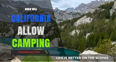 California Camping Comeback: When Will the Golden State Reopen Its Campsites?