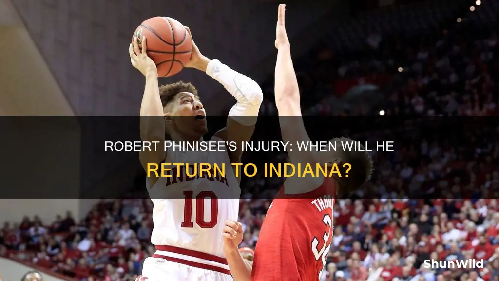 when will indiana basketball robert phinisee injury