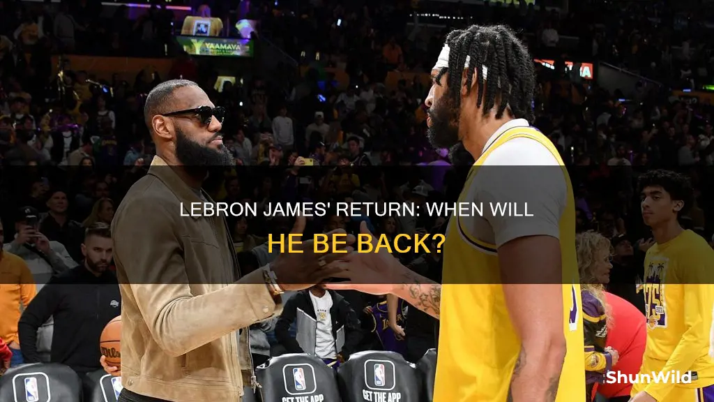 when will lebron james return to basketball