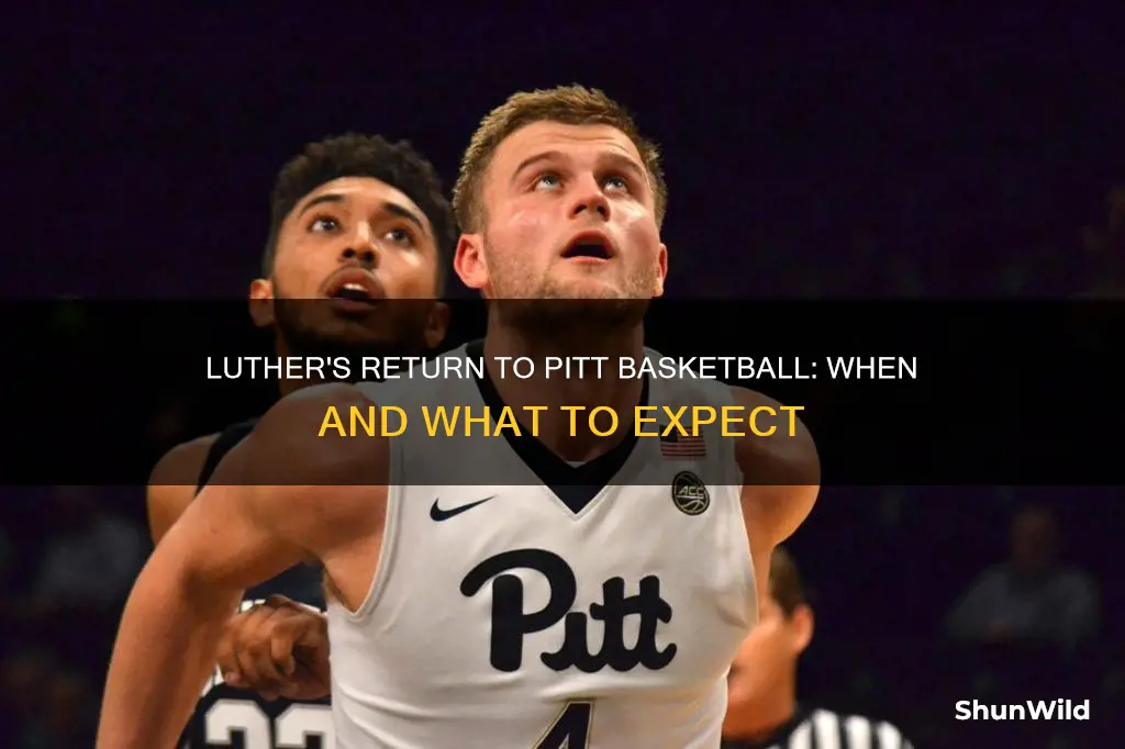 when will luther return to pitt basketball