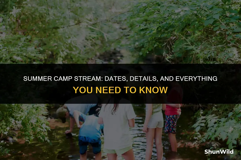when will summer camp stream