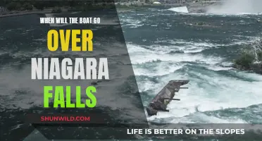 The Boat's Plunge Over Niagara Falls: When and Why?