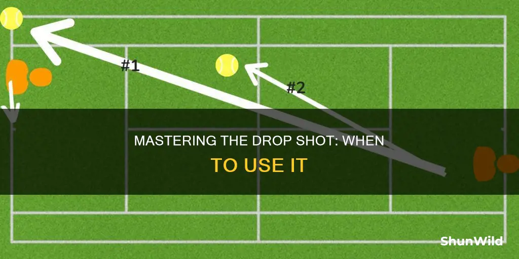 when would you use a drop shot in badminton