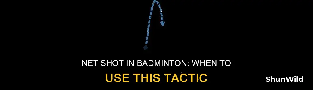 when would you use a net shot in badminton