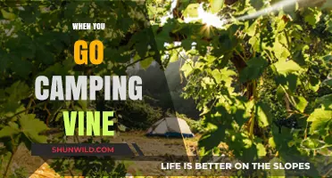 Exploring the Great Outdoors: A Guide to Camping Vine Adventures