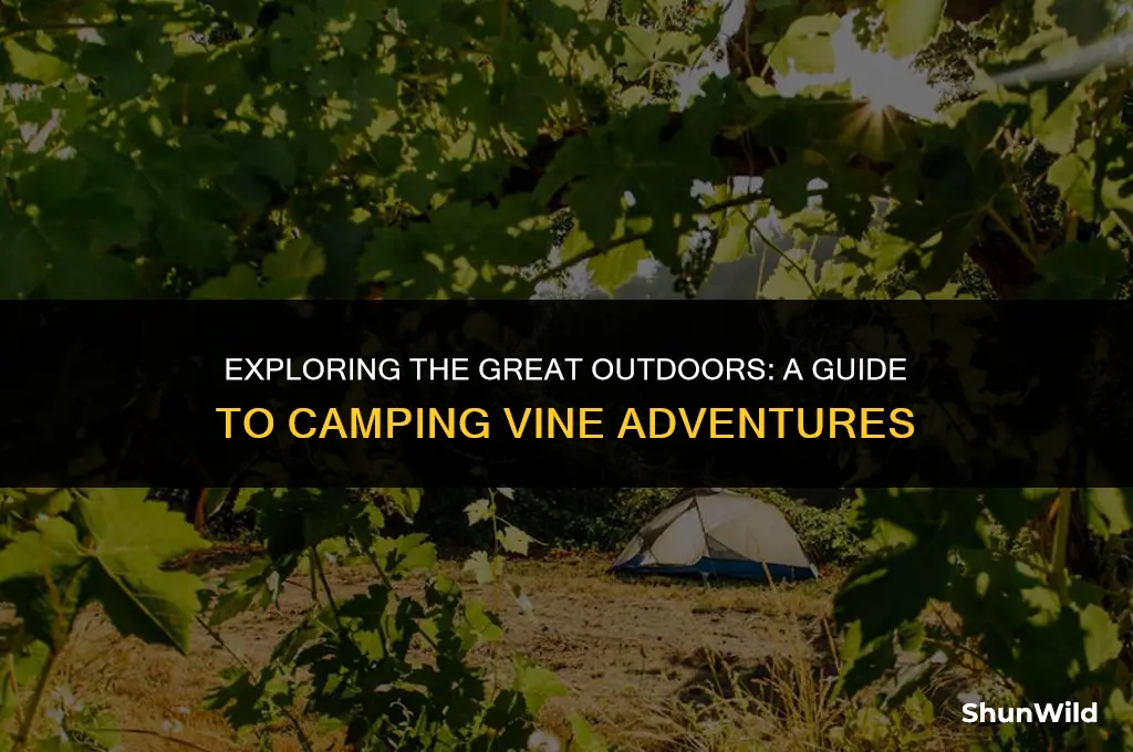 when you go camping vine