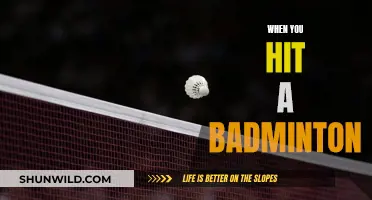 Badminton: Hitting Techniques for Success