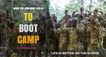 From Civilian to Soldier: The Boot Camp Journey in the Army