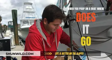 The Mystery of Boat Poop: Where Does It Go?