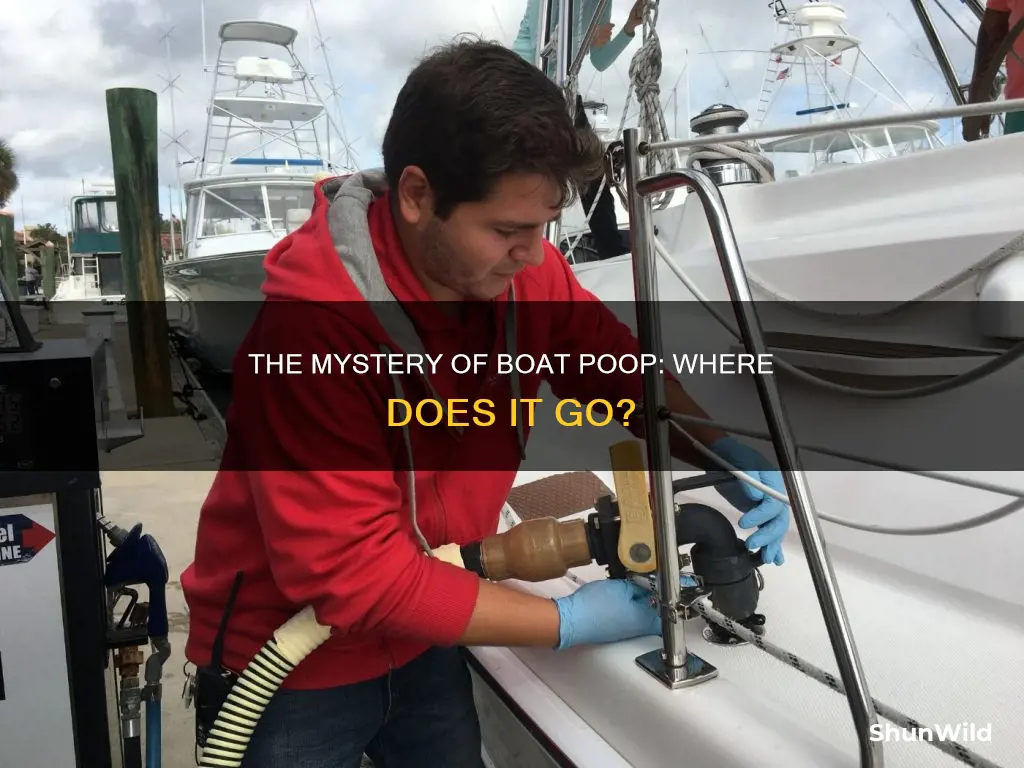when you poop on a boat where does it go