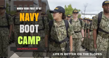 Surviving Your First PT Test: Navy Boot Camp Essentials