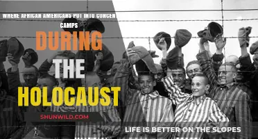 African Americans in Concentration Camps: A Hidden Holocaust History