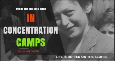 Children of the Camps: Unveiling the Forgotten Births in Concentration Camps
