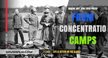 Liberation from Nazi Camps: Jewish Survivors' Stories of Freedom