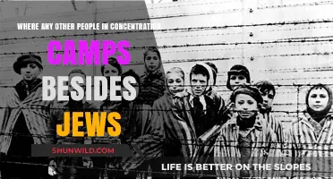Beyond the Jewish Narrative: Other Victims of Concentration Camps