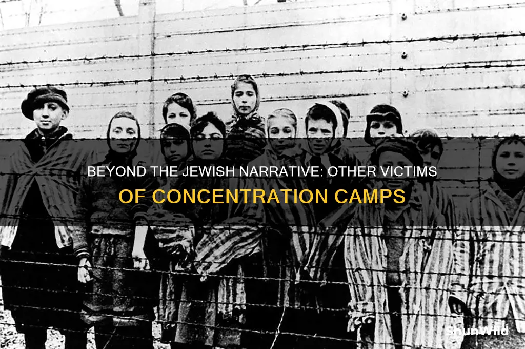 where any other people in concentration camps besides jews