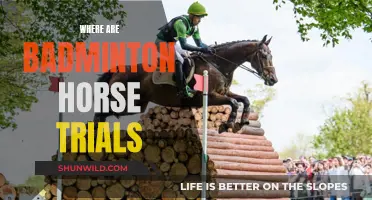 Badminton Horse Trials: A Historic Venue