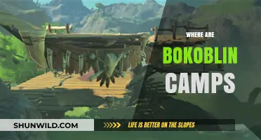 Exploring the Mysterious Bokoblin Camps: A Comprehensive Guide