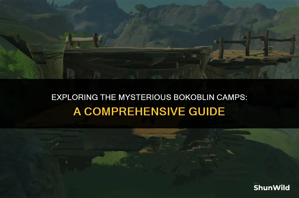 where are bokoblin camps