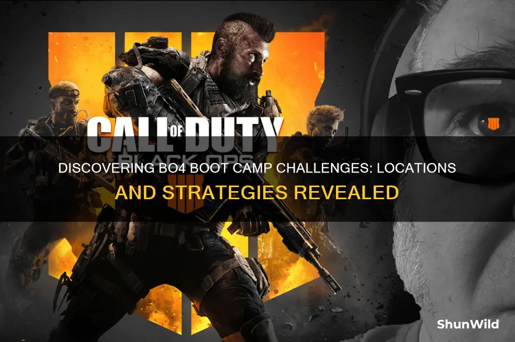 where are boot camp challenges bo4
