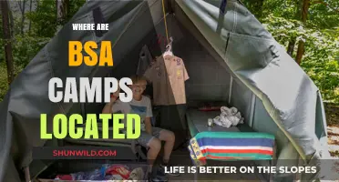Exploring the Great Outdoors: BSA Camps Across America