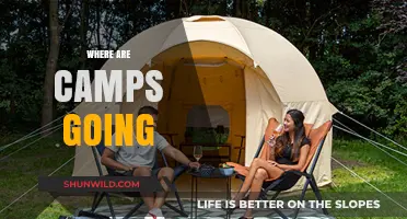 Exploring the Future of Camping: Trends and Destinations