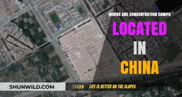 China's Concentration Camps: Locations and Global Concerns Revealed