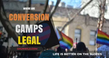 Unveiling the Global Landscape of Conversion Camps Legality
