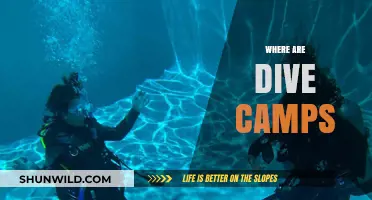 Discover the Best Dive Camps Around the World