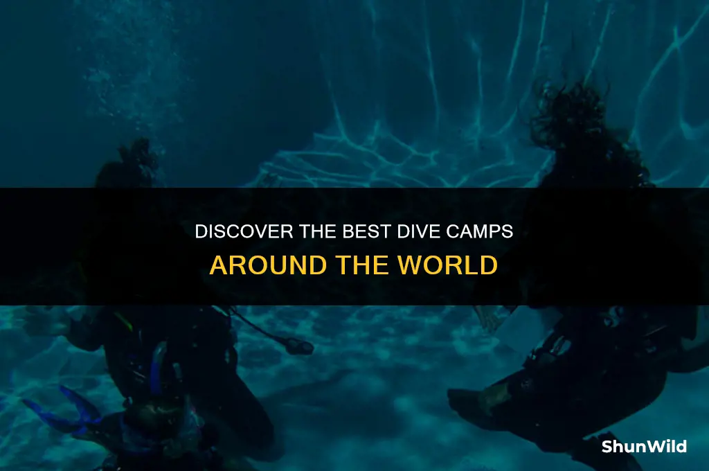 where are dive camps