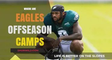 Eagles' Offseason Camps: Unveiling the Ultimate Training Grounds