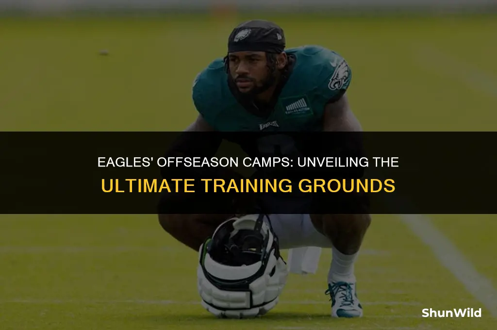 where are eagles offseason camps