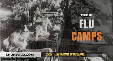 Where Are Flu Camps: A Comprehensive Guide to Seasonal Influenza Resources