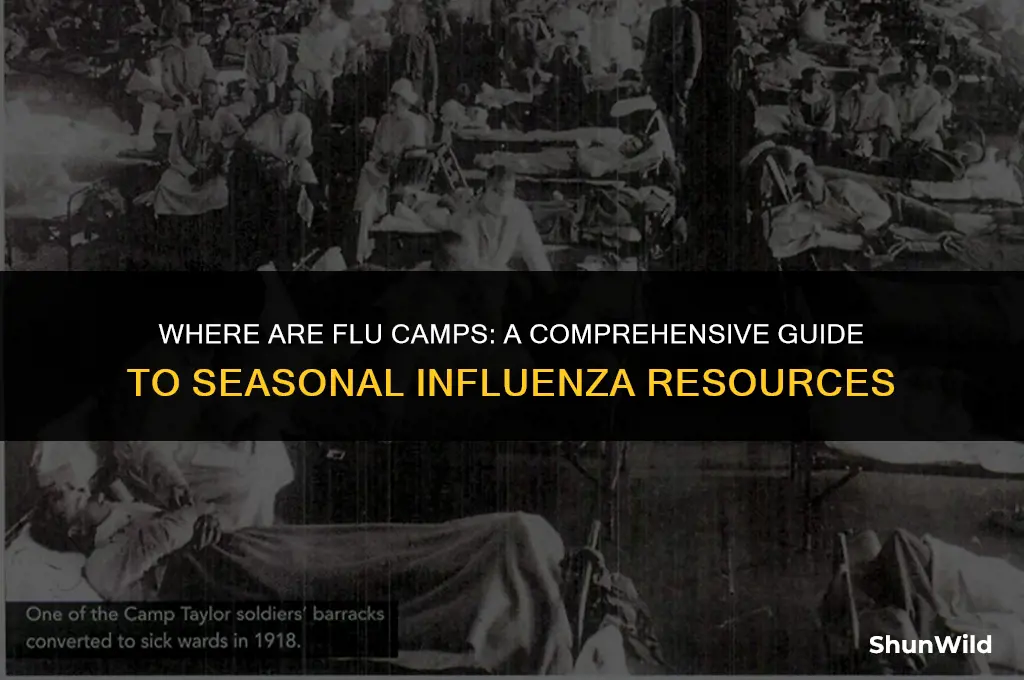 where are flu camps