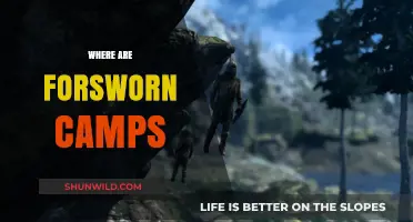 Forsworn Camps in Skyrim: A Comprehensive Guide to Their Locations
