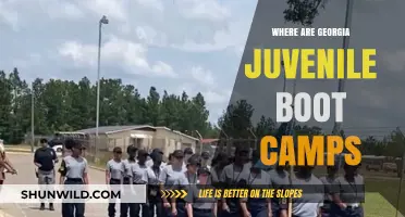 Georgia Juvenile Boot Camps: Locations, Programs, and Alternatives Explained