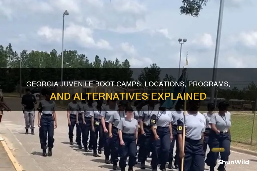 where are georgia juvenile boot camps