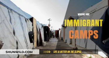 Unveiling the Hidden Realities: Immigrant Camps Around the World