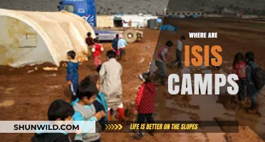 Unveiling the Global Spread: Where ISIS Camps Operate